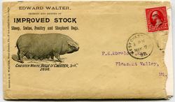U.S. #279B on Pig Farm Advertising Cover