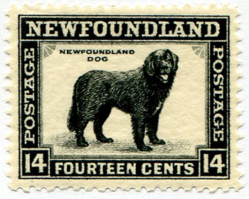Newfoundland #238 MNH