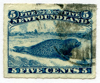 Newfoundland #40 Used