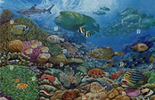 Sea Life Topcials