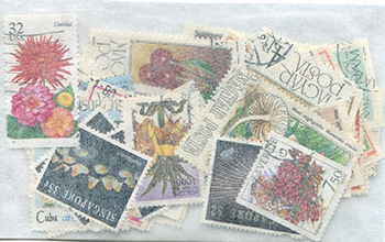 Topicals - Floral All-Different Packet of 41