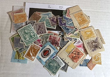 Latin America 100