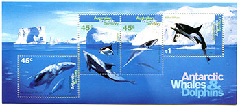 Topicals - Antarctic Whales and Dolphins