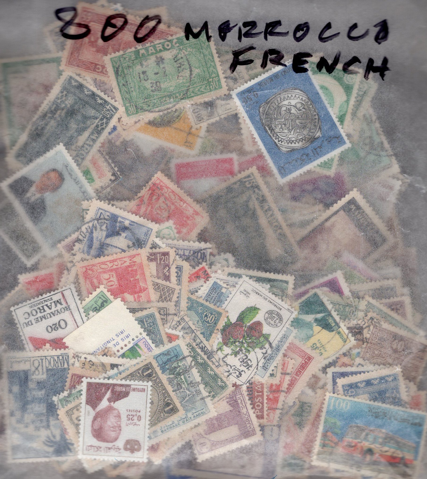 French Morrocco 800
