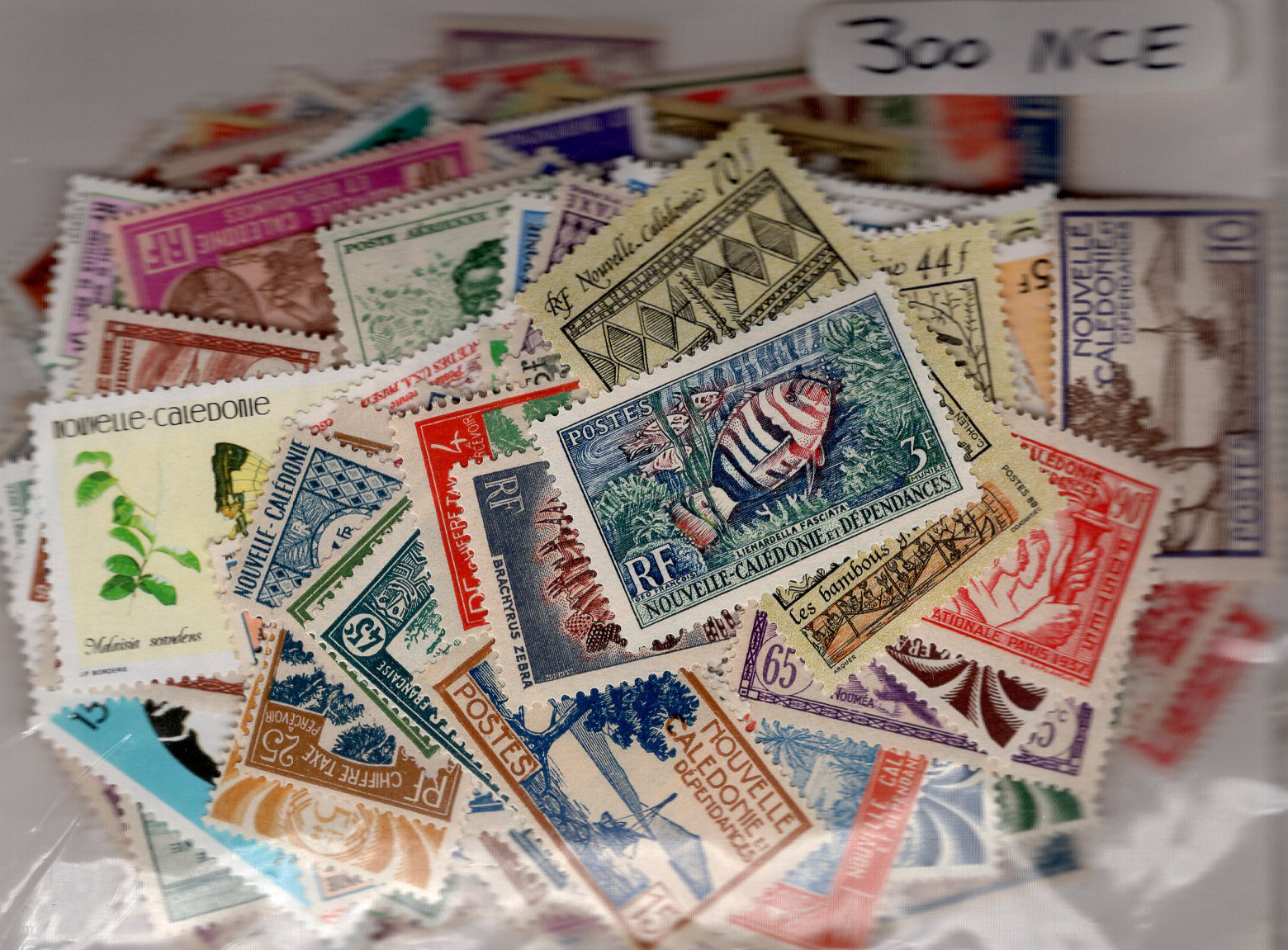 New Caledonia 300