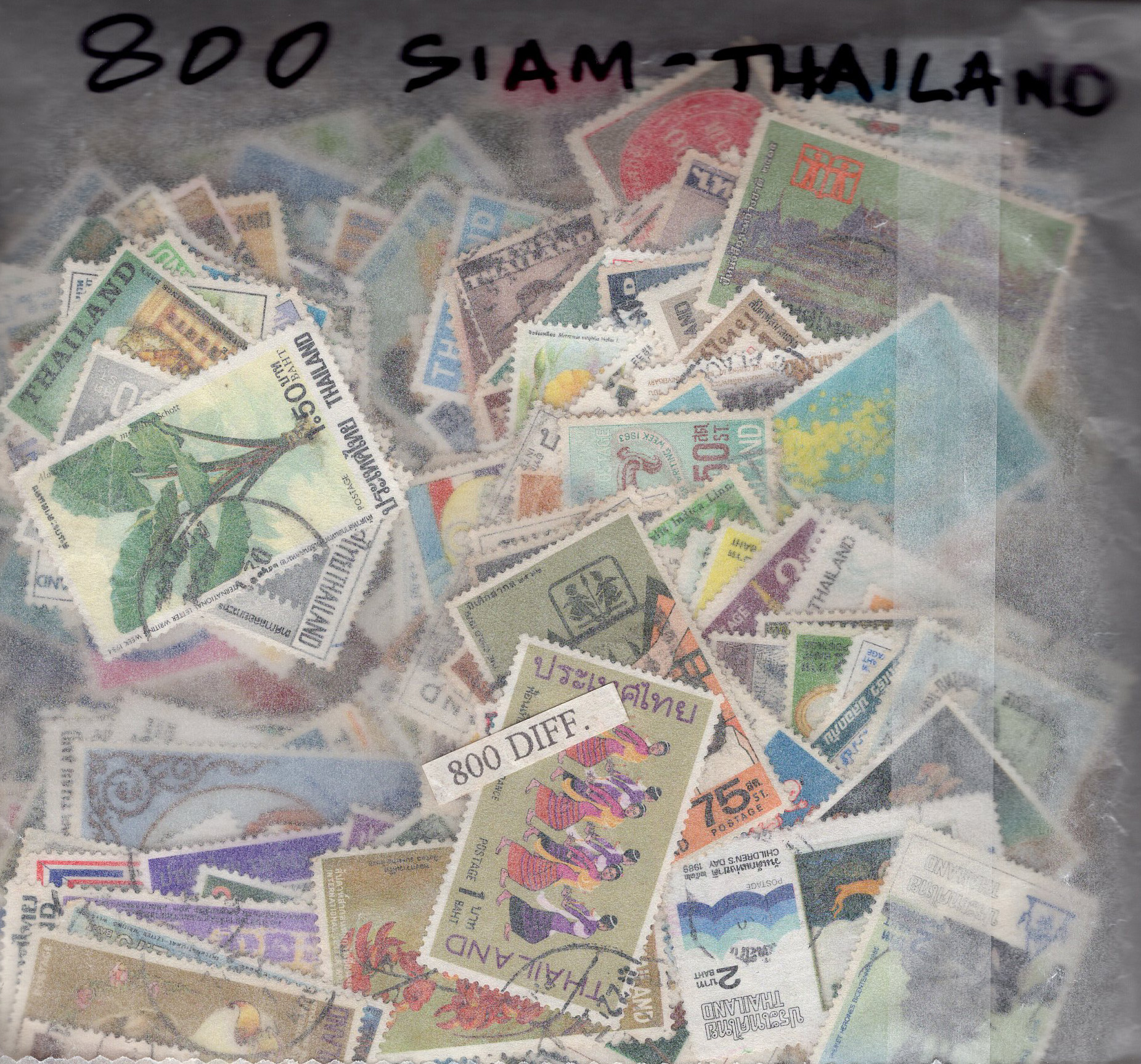 Siam-Thailand 800