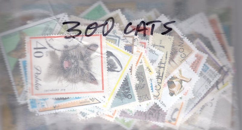 Topicals - Cats 300