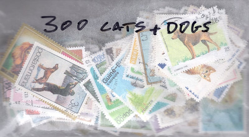 Topicals - Cats and Dogs 300