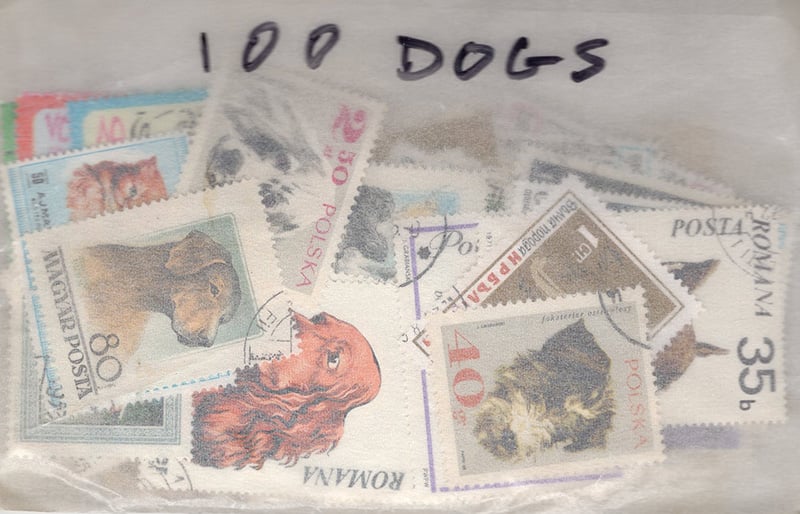 Topicals - Dogs 100