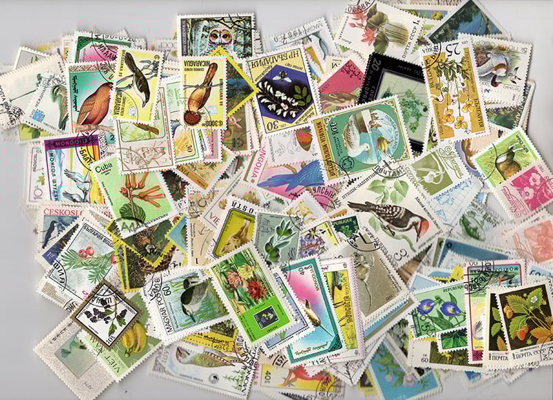 Topicals - Flora & Fauna 600