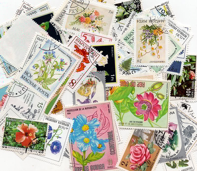 Topicals - Flowers 100