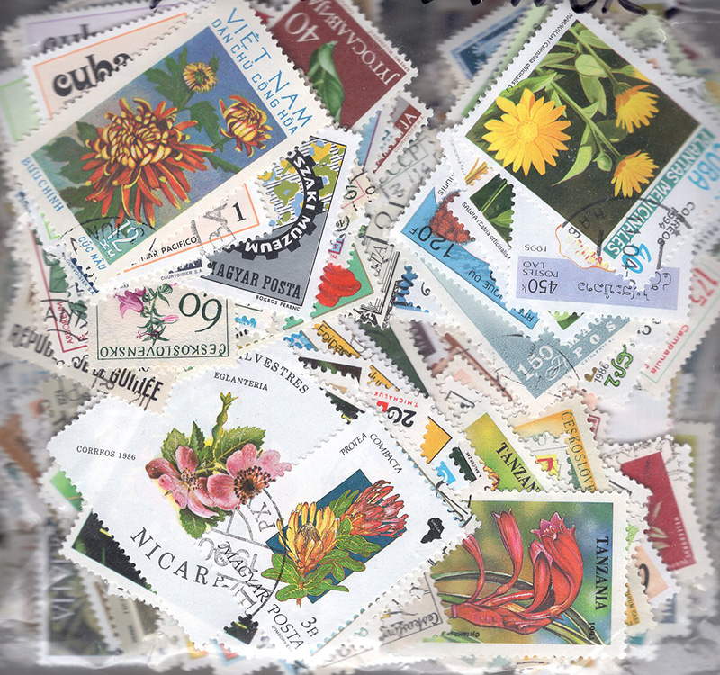 Topicals - Flowers 1000
