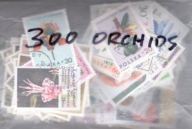 Topicals - Orchids 300
