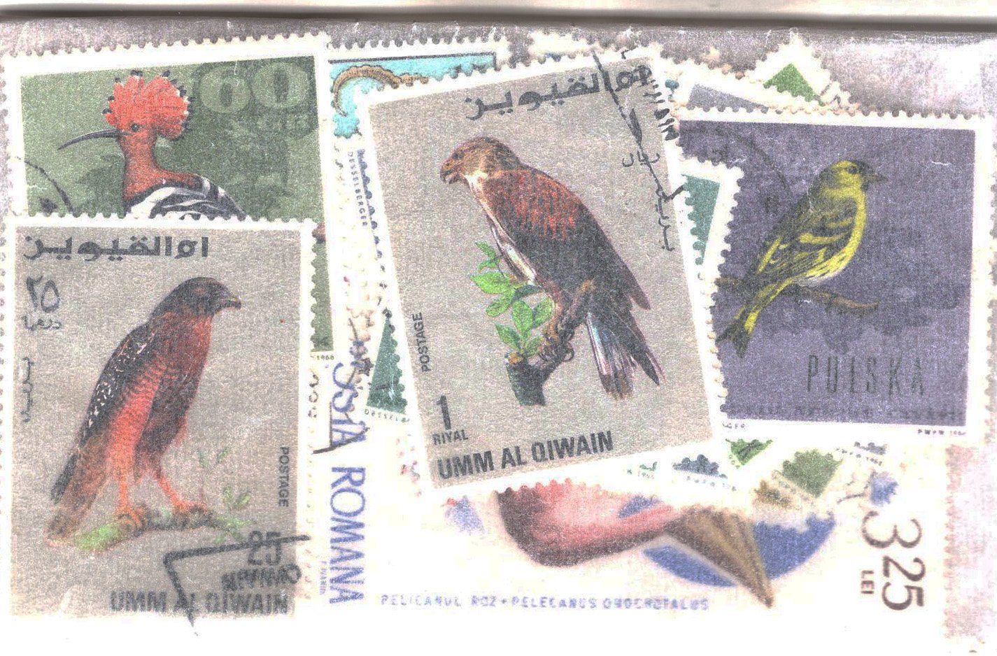 Topicals: Birds 36