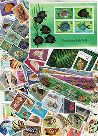 Topicals - Sealife 100 all-different