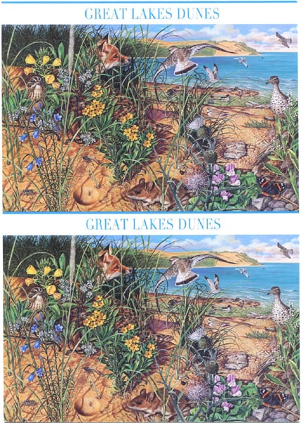 U.S. #UX539a-48a Great Lakes Dunes