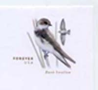 U.S. #U680 Bank Swallow Size 6