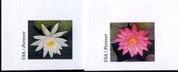 U.S. #U690-91 Water Lilies Postal Stationery