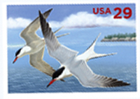 U.S. #UX621 Mint Common Terns