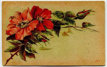 Floral Vintage Postcard