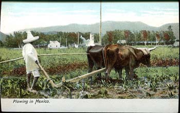 Farmer Plowing