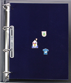 SAFE Collecto Velvet Button Pin Pages (pkg of 2)