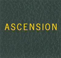 Scott ASCENSION Binder Label