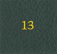 Scott #13 Numerical Label