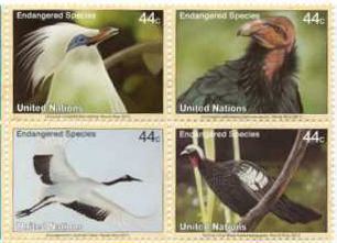 UN New York #1034a Endangered Species MNH