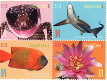 UN New York #1165a Endangered Species  MNH