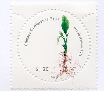 UN New York #1125 Climate Change MNH