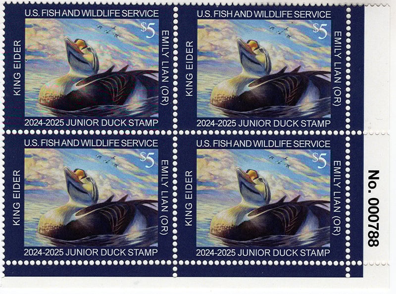 U.S. #JDS32a Junior Duck Stamp 2024 PNB of 4