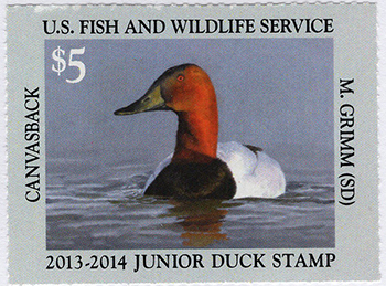 U.S. #JDS21 Junior Duck Stamp 2013 MNH