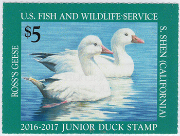 U.S. #JDS24 Junior Duck Stamp 2016 MNH