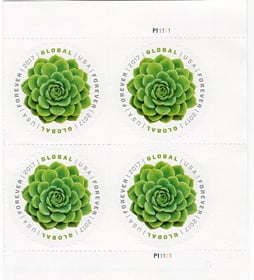 U.S. #5198 Global - Green Succulent-Echeveria, PNB of 4