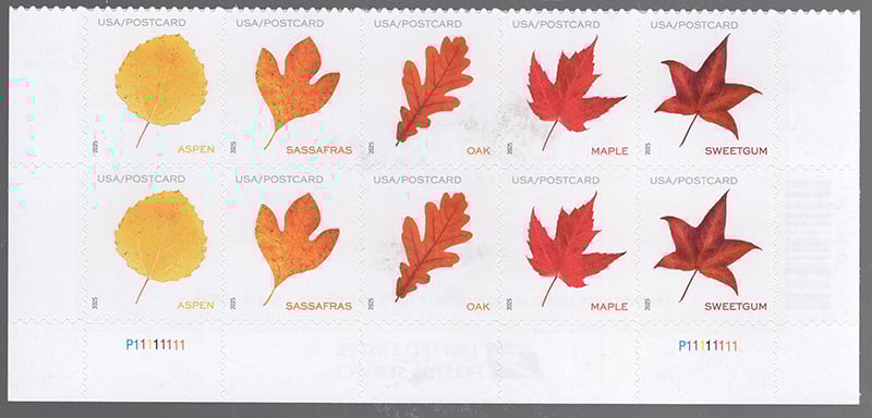 U.S. #5970a Vibrant Leaves, PNB 10
