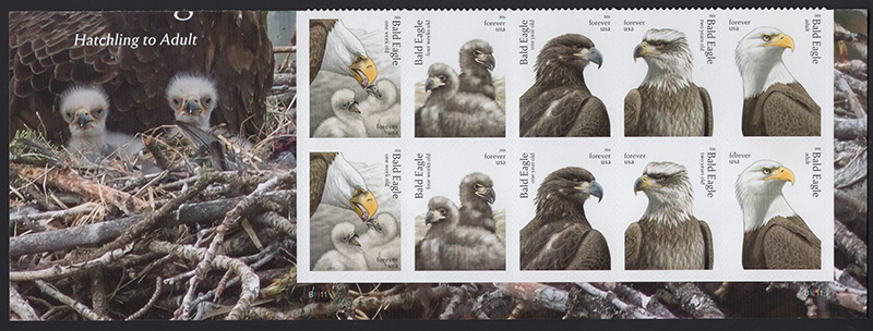 U.S. #6086a Bald Eagles, PNB10