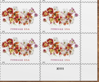 U.S. #5681 Tulips PNB of 4