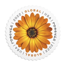 U.S. #5680 Global - African Daisy