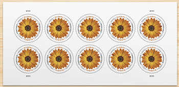 U.S. #5680 Global - African Daisy Pane of 10