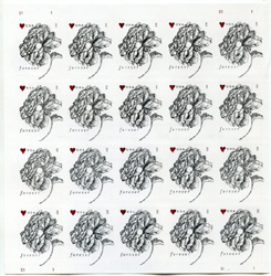 U.S. #4959 Vintage Rose Wedding, Pane of 20