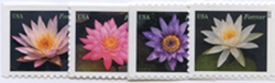 U.S. #4964-67 Water Lillies, 4 Singles