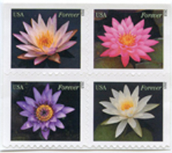 U.S. #4967a Water Lilies, Block of 4