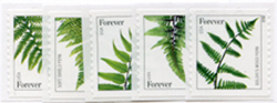 U.S. #4973-77 Ferns (Forever 2014),  5 Singles