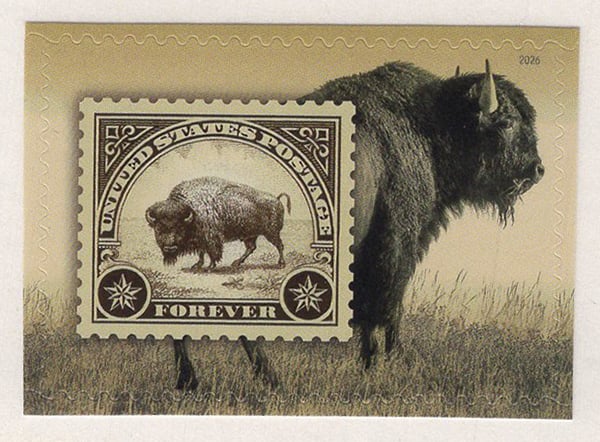 U.S. #6099 American Bison