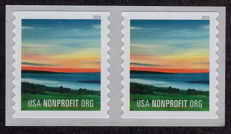U.S. #6113 Summer Sunset Pair Coil