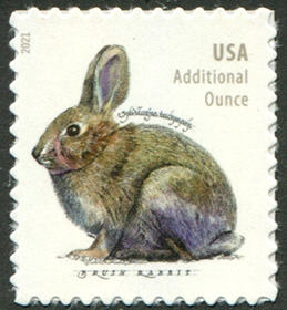 U.S. #5544 Brush Rabbit, additional ounce (from pane)