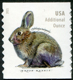 U.S. #5545 Brush Rabbit, additional ounce, (from coil)