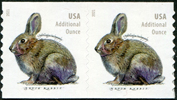 U.S. #5545 Brush Rabbit, additional ounce, Coil Pair