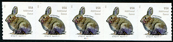 U.S. #5545 Brush Rabbit, additional ounce, PNC of 5